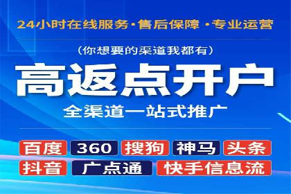 成功运用SEM服务实现品牌快速成长的案例